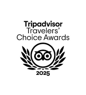 trip advisor reviews