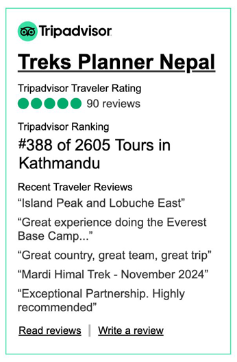 trip advisor reviews