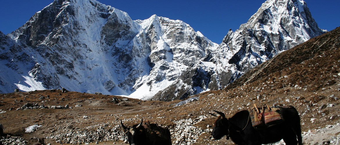 Everest Base Camp Trek via Jiri – 22 Days