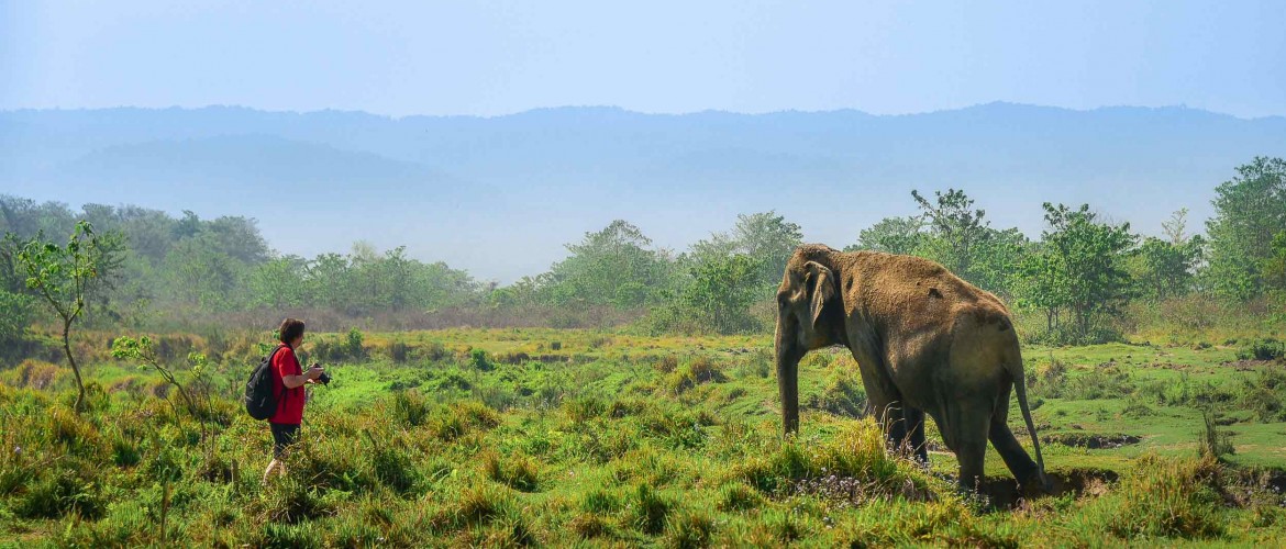 Chitwan Wildlife Tour 3 Days