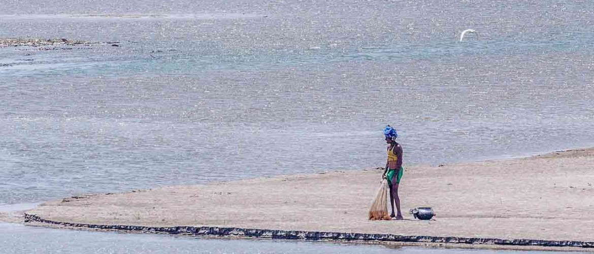 Koshi Tappu Wild Life Tour 3 Days