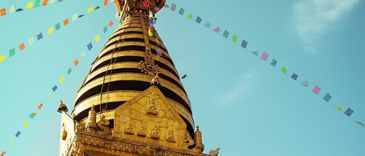 Buddhist Circuit Tour - 10 Days