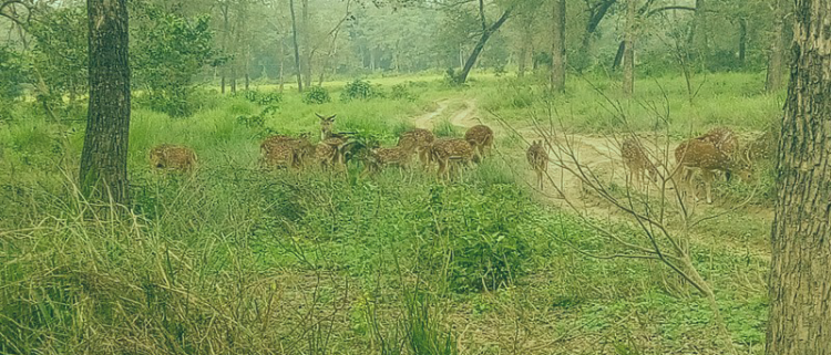 Family Tour in Nepal - 8 Days