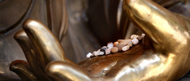 Buddhist Circuit Tour - 10 Days