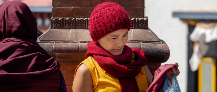 Buddhist Circuit Tour - 10 Days