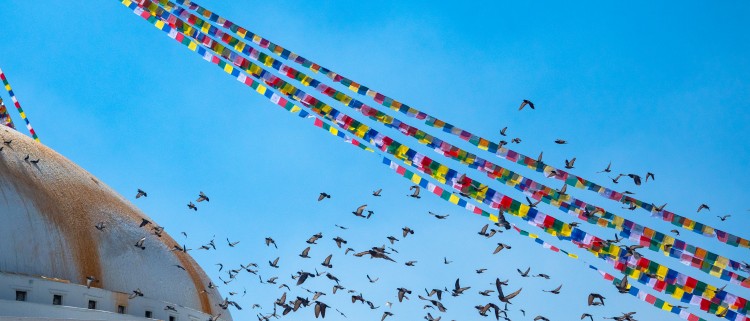 Buddhist Circuit Tour - 10 Days