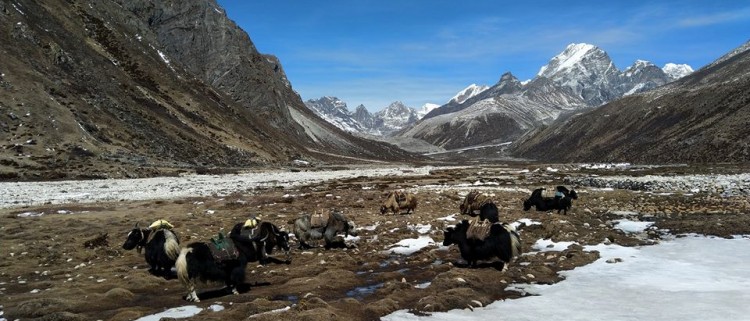 Everest Base Camp Trek – 16 days 