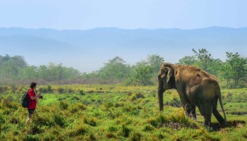 Chitwan Wildlife Tour 3 Days